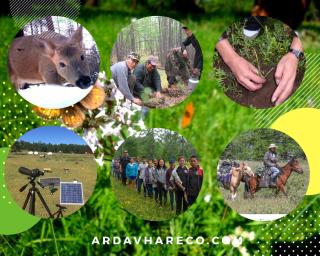 Ar Davhar Peninsula Eco Lodge - Hatgal - 1
