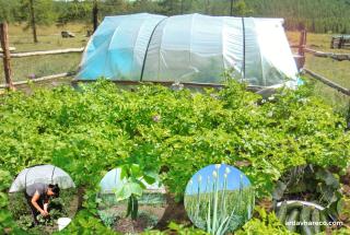 Ar Davhar Peninsula Eco Lodge - Hatgal - 2