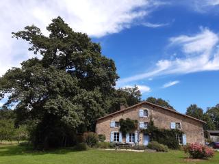 Domaine des Roches Blanches - Le Pin - 7