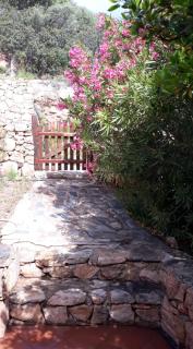 Appartamento Corbezzolo - Porto Taverna - 2