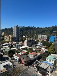 Maravilloso Departamento En Centro De Concepción - Concepción - 4