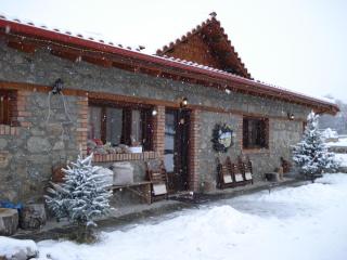 Prespa Resort & Spa - 1