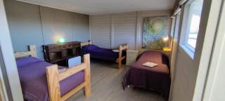 Girasoles de Valdes - 8