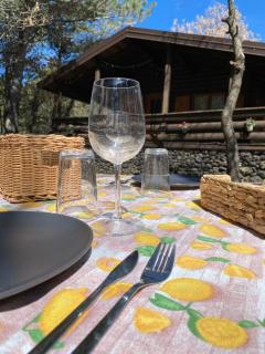 Woods Etna Chalet - Ragalna - 7