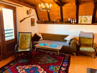 Cabin Rujište - Padežina - 2