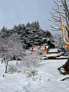 Cabañas Puerto Pireo - 1