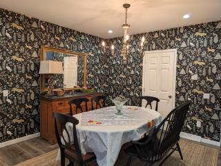 Charming Rural Retreat Entire Home Cozy New for 8 - Ellicottville - 4