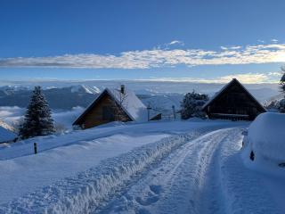 Apt dans Chalet St Lary 100mdespistes classé 4 étoiles - Saint-Lary-Soulan - 4