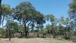 Quinta Lauti - San Cosme - 7
