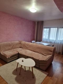Zlata Top View Apartment - Suceava - 2