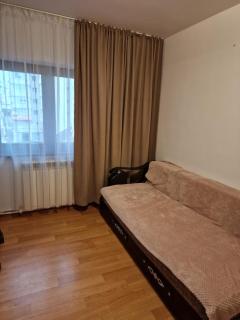 Zlata Top View Apartment - Suceava - 6