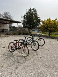 Trulli in contrada - 1