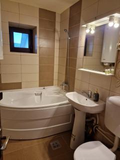Zlata Top View Apartment - Suceava - 9