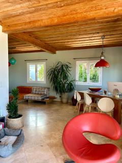 villa MILA - Ravine Sèche - 5