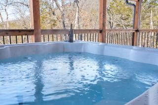 All New Cabin w Free Attraction Tickets-Pvt Hot Tub-Community Indoor Pool - Hollister - 6