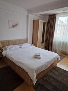 Zlata Tiny Home - Suceava - 9