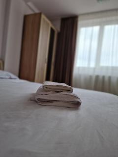 Zlata Tiny Home - Suceava - 8