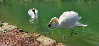 Moulin de Saint Gely - 6