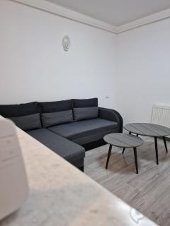 Zlata Quiet London Residence - Suceava - 8