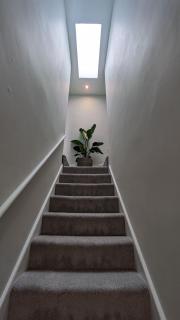 Clifton apartment in prime location & parking - Bristol - 2