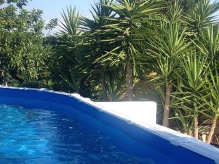 B&B Donna Luisa - Monopoli - 5