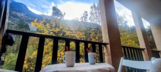 Carlina Canfranc - 9