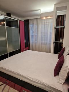 Zlata Presidential Residence - Suceava - 3