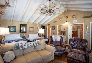 Hill Country Retreat - 1BR Cabin w Nature Views - Ingram - 5
