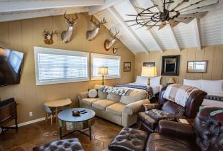 Hill Country Retreat - 1BR Cabin w Nature Views - Ingram - 4