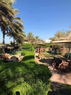 Palma Resort - Hurghada - 3