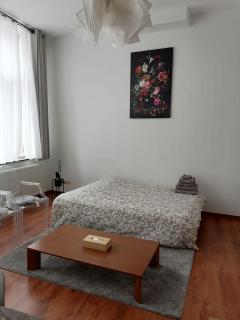 Claude's apartment - European Quarter - Bruxelles - 1