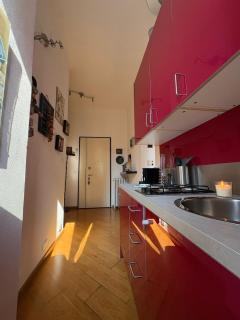 Historic Milanese Apartment - Milan - 1