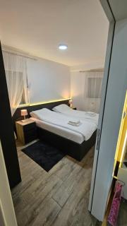 Silver Dream 1 - Veliko Gradiste - 8