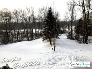 Equestrian House Cottages - Pleasant Mount - 3