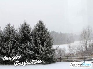 Equestrian House Cottages - Pleasant Mount - 4