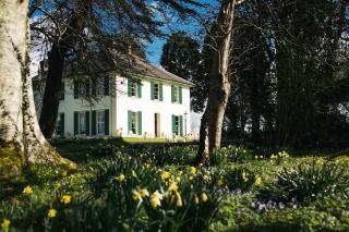 Elm Grove Country House - 0