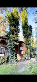 Complejo Del Bosque - Mar del Plata - 9