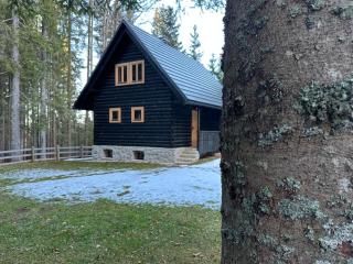 Cosy Lodge Pokljuka - Goreljek - 6