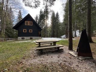Cosy Lodge Pokljuka - Goreljek - 5