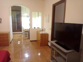 Residential zone, immersed in the green, wifi - Sirmione - 5