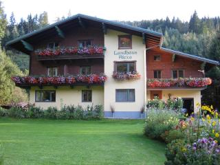 Landhaus Alexa - Eben im Pongau - 3