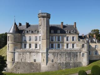 Château de Montmirail - Montmirail - 6