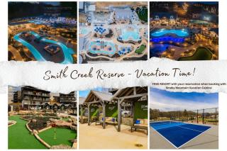 Smith Creek Reserve - Incredible Oasis Vibe - New Era - 5
