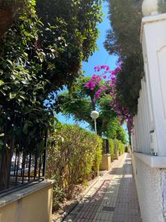 House near the beach and airport - Gran Alacant - 7