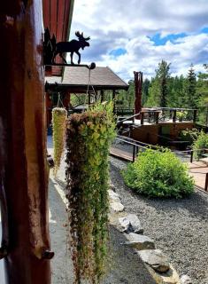 Cabin Room on DaVita Ranch - - 8