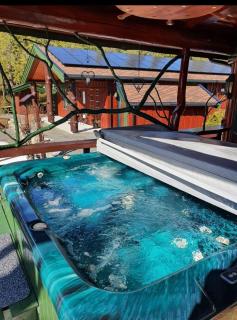 Cabin Room on DaVita Ranch - 3