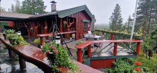 Cabin Room on DaVita Ranch - - 1