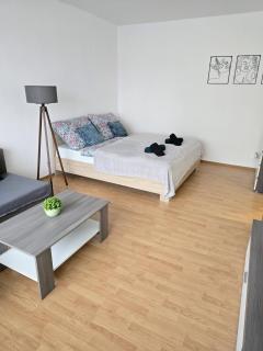 Tobi apartment - Košice - 1