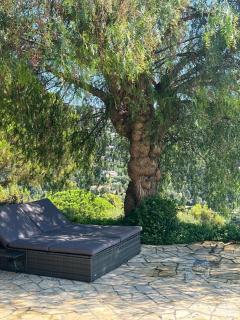 Villa Diane partie 1 - Roquebrune-sur Argens - 8