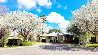 Schnippen Inn - Tanunda - 0